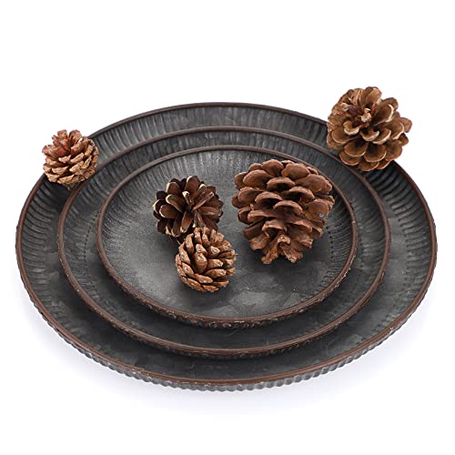 BSTKEY Set of 3 Industrial Farmhouse Style Metal Iron Serving Tray, Decorative Round Table Tray Tin Glitzhome Galvanized Storage Plate, 3 Sizes Diameter 25CM+20CM+16CM