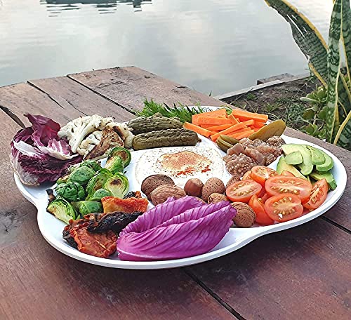 Reusable White Serving Platters Tray for Partys. Unbreakable Melamine. Appetizer Sectioned Platter. Vegetables, Fruits, Foods, Snack with compartments. Chip and Dip Serving Dish (Melamine x2)