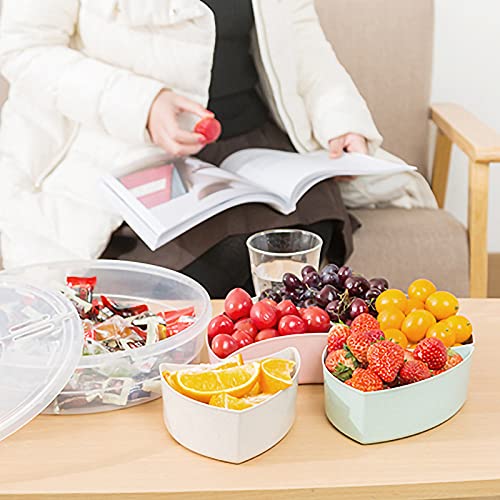 rismart Divided Serving Tray Platter with Lid Handle Storage Container 5 Plastic Compartment Box Clear Organizer for Candy, Fruits, Nuts, Snacks