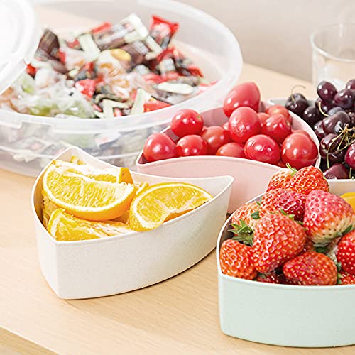 rismart Divided Serving Tray Platter with Lid Handle Storage Container 5 Plastic Compartment Box Clear Organizer for Candy, Fruits, Nuts, Snacks