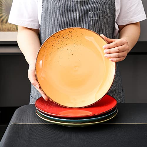 vancasso Navia Tropical Dinner Plate Set of 4, Stoneware Vintage Look Multicolour Dinnerware Tableware, 10.5 inch Snack/Salad/Fruit/Side Plate. (27 * 27 * 2.5cm)