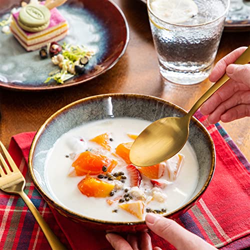 vancasso Starry Red Dinner Sets, Reactive Glaze Plates and Bowls Set, 12-Piece Crockery Set with 11in Dinner Plate, 8in Dessert Plate and 750ml Bowl, Service for 4