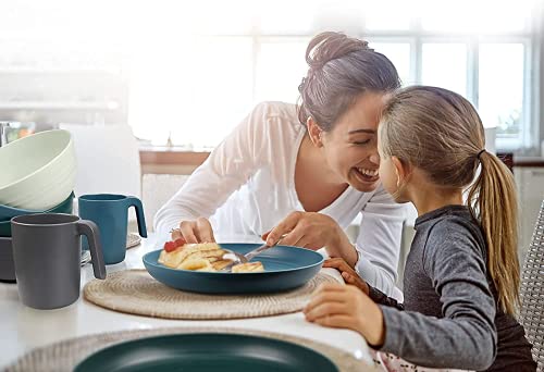 Greentainer Unbreakable Plastic Dinnerware Set, Lightweight Tableware with 4 Dinning Plates, 4 Dessert Plates, 4 Bowls, 4 Cups Kids & Adults, Service for 4, Dishwasher&Microwave Safe,16 Pcs