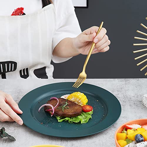 Kyraton Plastic Dinnerware Sets of 20 Pieces, Unbreakable and Reusable Light Weight Plates Mugs Bowls Dishes Easy to Carry and Clean Microwave Safe BPA Free Service for 4 Dishwasher Safe(Mutil Color)