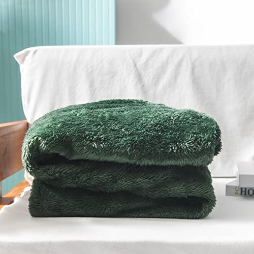 Exclusivo Mezcla Fuzzy Fleece Throw Blanket, 127x178 CM Sofa Throws, Soft Flannel Throws for Sofa, Celadon Blanket