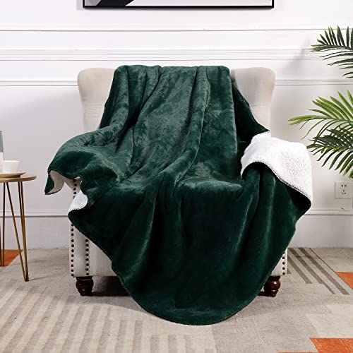 SOCHOW Luxury Sherpa Fleece Throw Blanket, 600GSM Ultra Soft and Warm Flash in The Light Plush Blanket for Bed Sofa Couch, Fall Winter and Spring, 127cm × 150 cm, Green