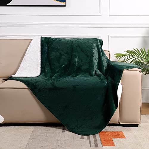 SOCHOW Luxury Sherpa Fleece Throw Blanket, 600GSM Ultra Soft and Warm Flash in The Light Plush Blanket for Bed Sofa Couch, Fall Winter and Spring, 127cm × 150 cm, Green