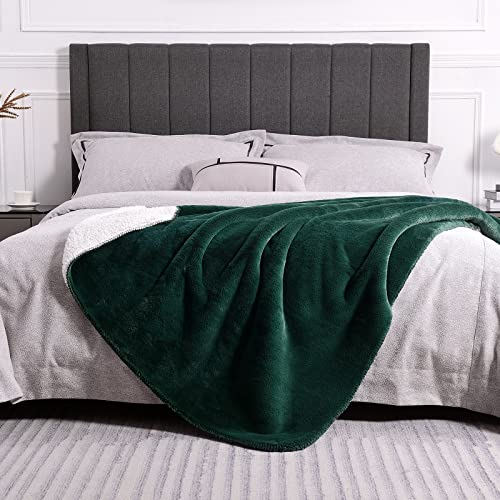 SOCHOW Luxury Sherpa Fleece Throw Blanket, 600GSM Ultra Soft and Warm Flash in The Light Plush Blanket for Bed Sofa Couch, Fall Winter and Spring, 127cm × 150 cm, Green