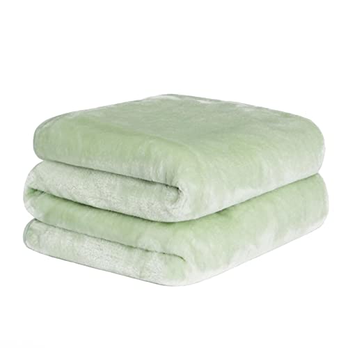 Dreamscene Luxury Faux Fur Mink Fleece Throw Over Sofa Bed Soft Warm Large Blanket for Sofa - Sage Green, 150 x 200 cm