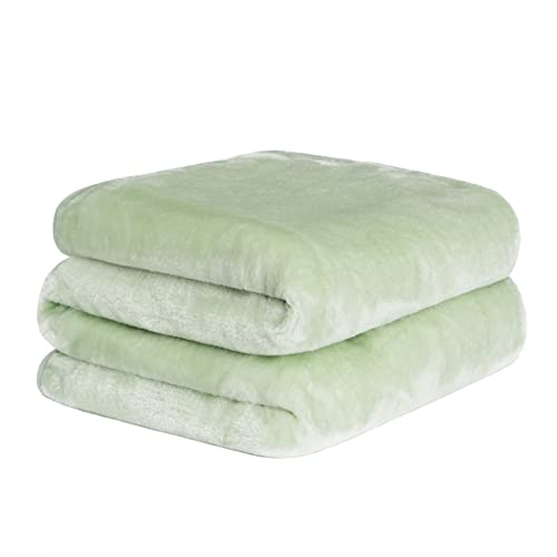 Dreamscene Luxury Faux Fur Mink Fleece Throw Over Sofa Bed Soft Warm Large Blanket for Sofa - Sage Green, 150 x 200 cm