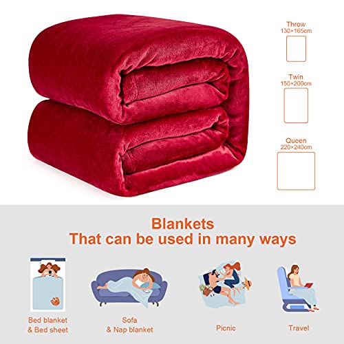 EHEYCIGA Fleece Blanket Red Throws for Sofas Large Fluffy Warm Soft Blanket for Bed Settees Armchairs, Fit All Season, Queen, 220x240cm