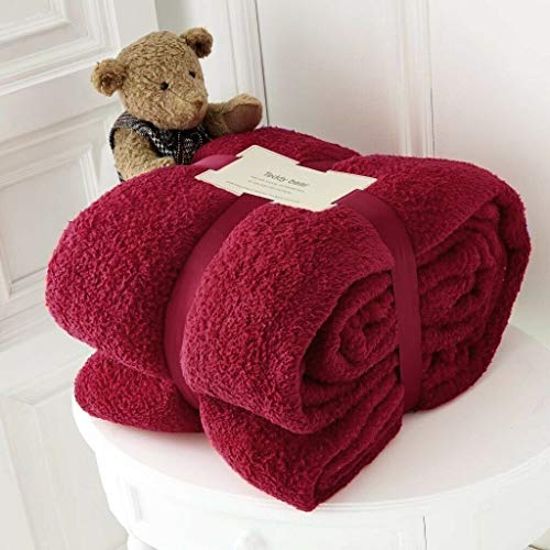 Hachette Teddy Fleece Throw Blanket Soft Warm Throw Over Sofa Bed Travel Bedspread Blanket (Red, Double - 150 x 200 cm)