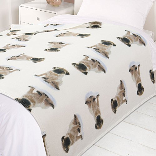 Dreamscene Pug Fleece Throw Over Warm Soft Puppy Dog Bed Blanket Large 120 x 150 cm