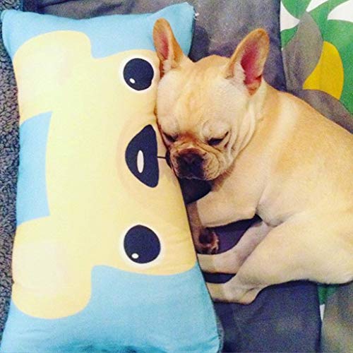 Custom Throw Pillow Cover with Image or Text, Velvet Decor Personalized Pillowcases Double-Sided Printing, Customize Photo Pet Pillow, Christmas, Anniversary, Valentines Day, Birthday, Moms Gifts