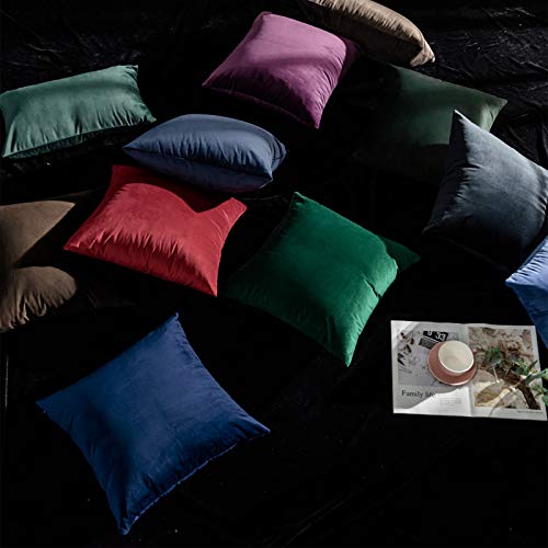 JUSPURBET Dark Green Velvet Pillow Covers 18x18,Pack of 2 Christmas Decorative Throw Pillow Covers,Solid Cushion Cases for Sofa Couch Bedroom