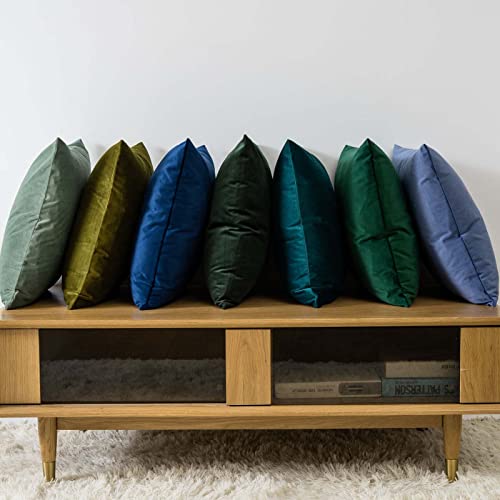 JUSPURBET Dark Green Velvet Pillow Covers 18x18,Pack of 2 Christmas Decorative Throw Pillow Covers,Solid Cushion Cases for Sofa Couch Bedroom