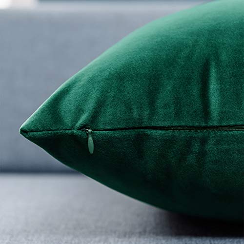 JUSPURBET Dark Green Velvet Pillow Covers 18x18,Pack of 2 Christmas Decorative Throw Pillow Covers,Solid Cushion Cases for Sofa Couch Bedroom