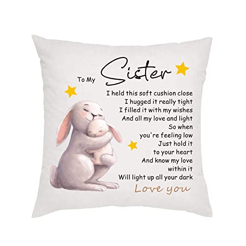 howson london Pillow Case Sister Gifts from Sister Brother Bestie for Birthday Christmas Cushion Cover Pillow Case for Sister Friendship
