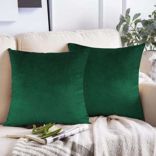 VAKADO Dark Green Green Velvet Pillow Cushion Covers Decorative Christmas Emerald Cushion Cases Cozy Soft Solid Square Home Decorations for Car Couch Sofa Bedroom Office 18"x18" Set of 2