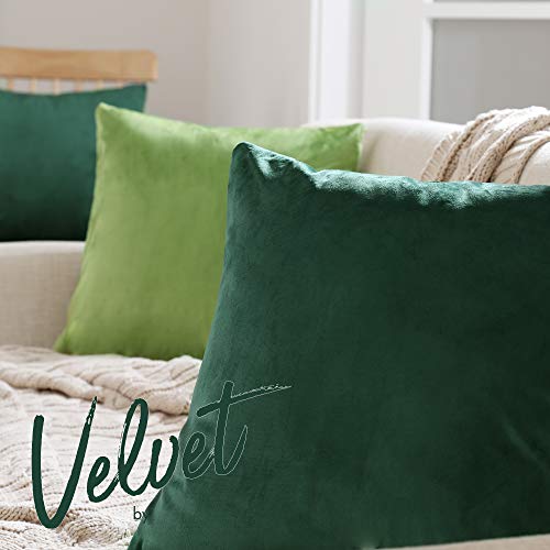 Deconovo Set of 2 Home Decoration Crushed Velvet Cushion Covers 40cm x 40cm 16x16 Inches Throw Pillow Cases Cushion Covers for Christmas Emerald