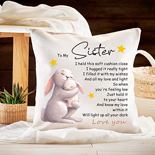 howson london Pillow Case Sister Gifts from Sister Brother Bestie for Birthday Christmas Cushion Cover Pillow Case for Sister Friendship