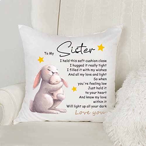 howson london Pillow Case Sister Gifts from Sister Brother Bestie for Birthday Christmas Cushion Cover Pillow Case for Sister Friendship