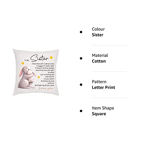 howson london Pillow Case Sister Gifts from Sister Brother Bestie for Birthday Christmas Cushion Cover Pillow Case for Sister Friendship