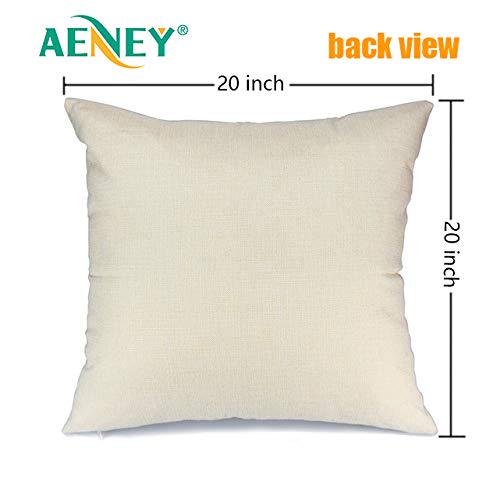 AENEY Christmas Pillow Covers 20x20 Set of 4 for Christmas Decorations Stripe Christmas Pillows Winter Holiday Throw Pillows Christmas Farmhouse Decor for Couch A459-20