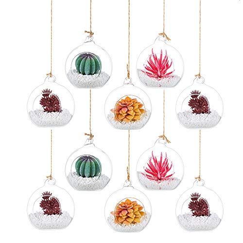 8cm Hanging Glass Tealight Holder 12 Pcs Glass Baubles Globe Plant Terrariums Glass Orbs Air Plants Tea Light Candle Holders Christmas Halloween Home Decor Indoor Outdoor Garden
