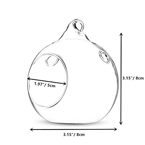 NUPTIO 12 Pcs 8cm Dia Hanging Glass Globe Tea Light Candle Holders Home Wedding Party Halloween Centerpieces Decor Indoor & Outdoor Tealight Candleholders, Christmas Candle Holder Decorations