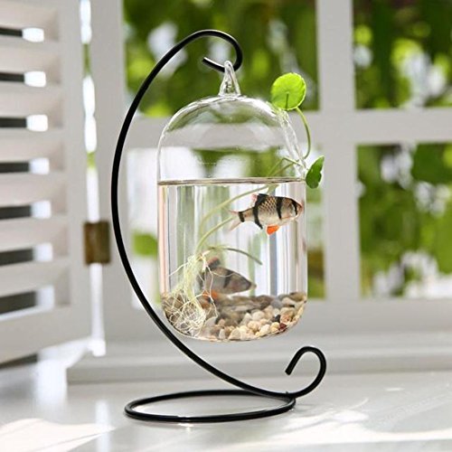 Tincogo (6 Pack) Ornament Display Stand, Black Iron Hanging Stand Rack Holder for Hanging Glass Globe Air Plant Terrarium, Witch Ball, Christmas Ornament and Home Wedding Decoration