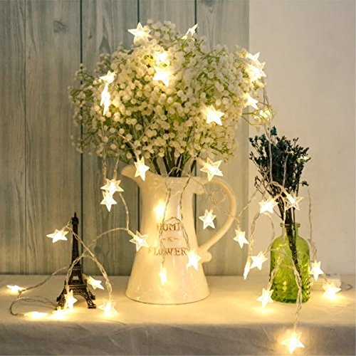 Timewanderer Warm White String Fairy AA Battery Operated Bright LED Decorative Lights Clear Wire for Christmas DIY (5M 50 Stars)