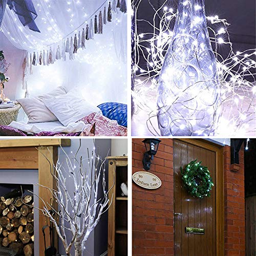 22 Pack LED Fairy Lights, 1M 10 LED Battery Operated String Lights Copper Wire Light for Home Garden Christmas Wedding Party Halloween Concerts Bars Clubs Indoor Outdoor Decoration (Cool White)