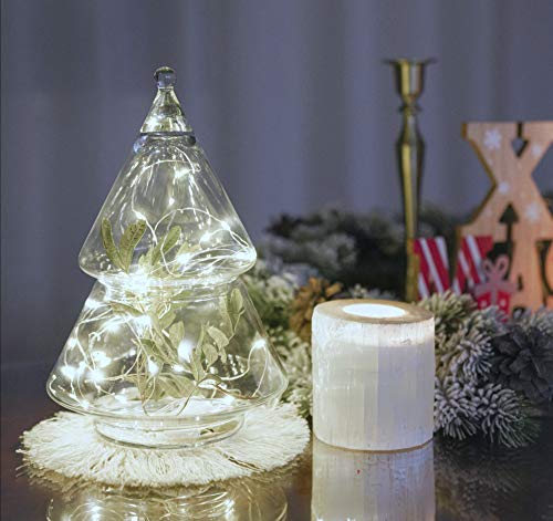 Chipark Fairy String Lights Battery Operated 2 Pack 12m 120 LED with Remote Timer Firefly Light 8 Modes Waterproof Copper Wire Lights for Indoor Outdoor Bedroom Garden Christmas Decorative(Cool White)