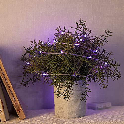 Eambrite Battery Operated Fairy Lights 3m 30 LED Colour Changing String Lights Waterproof for Indoor Outdoor Party Wedding Home Holiday Christmas Decoration