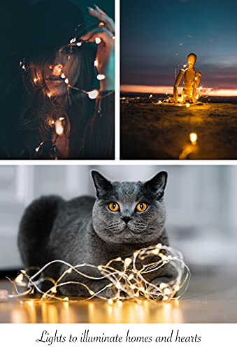 TEKLED® String Fairy Lights | 100 LED [2 Pack] Decorative String Lights | Battery Powered with Remote Control | Waterproof Indoor Outdoor 33FT | Warm White | For Patio Garden Home Christmas Tree Party