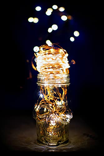 TEKLED® String Fairy Lights | 100 LED [2 Pack] Decorative String Lights | Battery Powered with Remote Control | Waterproof Indoor Outdoor 33FT | Warm White | For Patio Garden Home Christmas Tree Party