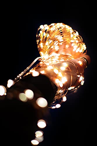 TEKLED® String Fairy Lights | 100 LED [2 Pack] Decorative String Lights | Battery Powered with Remote Control | Waterproof Indoor Outdoor 33FT | Warm White | For Patio Garden Home Christmas Tree Party