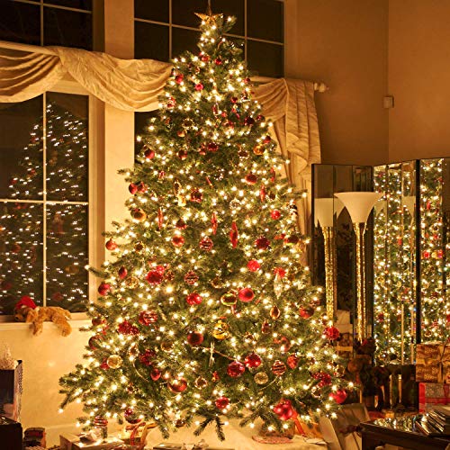 BIUYO Fairy Lights Battery Powered Stars String Lights 5M 50 LED Battery Operated Decorative Lighting for Christmas Wedding Birthday Indoor Outdoor Use(Warm White)