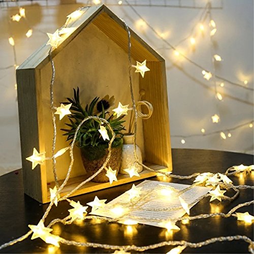Timewanderer Warm White String Fairy AA Battery Operated Bright LED Decorative Lights Clear Wire for Christmas DIY (5M 50 Stars)