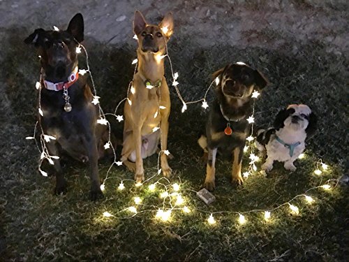 Timewanderer Warm White String Fairy AA Battery Operated Bright LED Decorative Lights Clear Wire for Christmas DIY (5M 50 Stars)