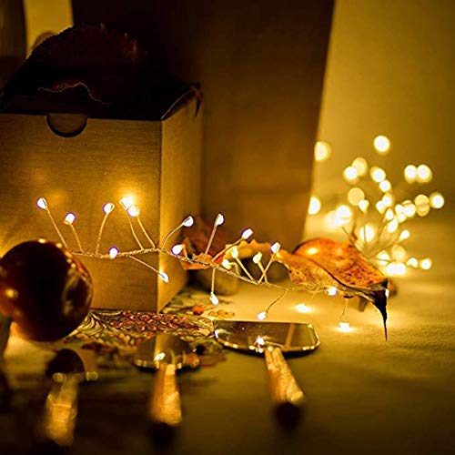 CCILAND 3m Remote Garland String Lights for Bedroom, 8 Mode 200 LED Cluster Light Battery Operated with Timer, Dimmable Wedding Party Decor Light for Tree Vase Window (Warm White, Silver Wire)