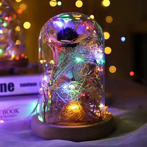 FairyDecor Fairy Lights Battery, 5m/16ft Battery Operated Copper Wire Starry String Lights,Battery Powered Lights for Christmas,Parties,Wedding,Bedroom,Indoor,Home Decoration (1 Pack Multi Colour)