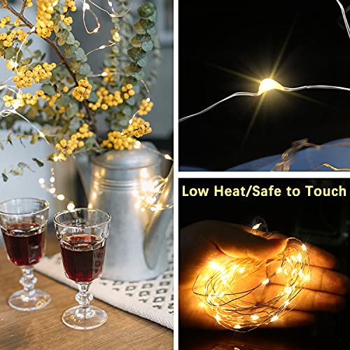 LED Fairy Lights, 1M 10 Battery Operated String Lights Warm White Copper Wire for Home Garden Wedding Party Christmas Halloween Concerts Bars Clubs Bottle Hotels Indoor Outdoor Decorations (10 Packs)