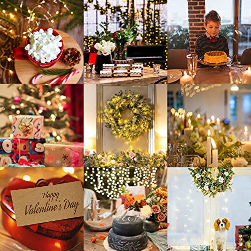 LED Fairy Lights, 1M 10 Battery Operated String Lights Warm White Copper Wire for Home Garden Wedding Party Christmas Halloween Concerts Bars Clubs Bottle Hotels Indoor Outdoor Decorations (10 Packs)