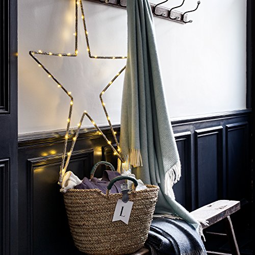 Lights4fun Battery Operated Fairy Lights with 20 Micro Warm White LEDs on Silver Wire