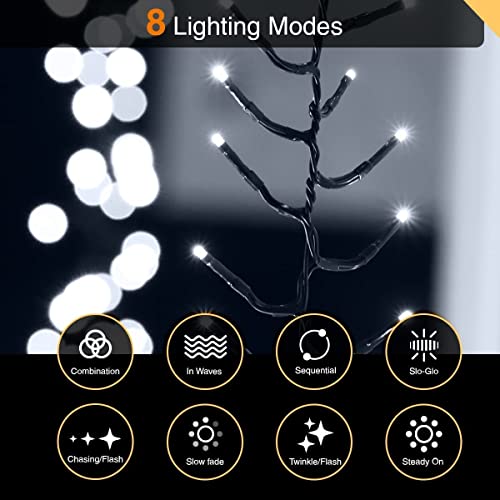 ANSIO® Christmas Lights 1000 LED 12m/39ft Cluster Christmas Tree Lights for Indoor & Outdoor Cool White Decorations Fairy Lights with Timer for Xmas Garden Bedroom & Party | Mains Powered Green Cable