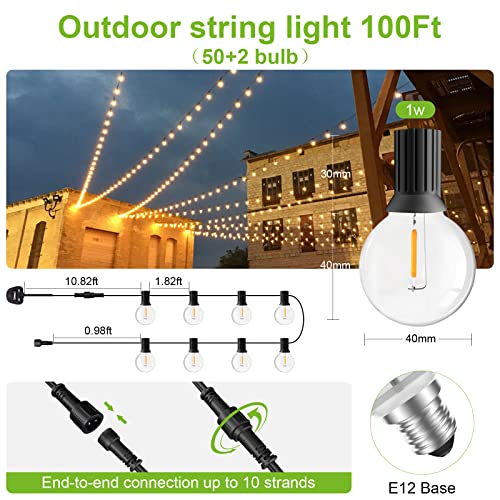 Garden String Light, 30M/100Ft IP45 Waterproof LED Festoon Lights Outdoor, Indoor Outdoor Globe String Lights for Garden, Yard, Wedding, Christmas, Backyard, Terrace, Party, Patio