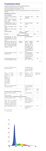 CORST 100m 600LED Outdoor Fairy Lights Plug in Long Outdoor Christmas Lights Garden Tree Lights Mains Powered Waterproof with Remote & Timer 8 Modes for Indoor Gazebo Thanksgiving Decor(Blue+White)