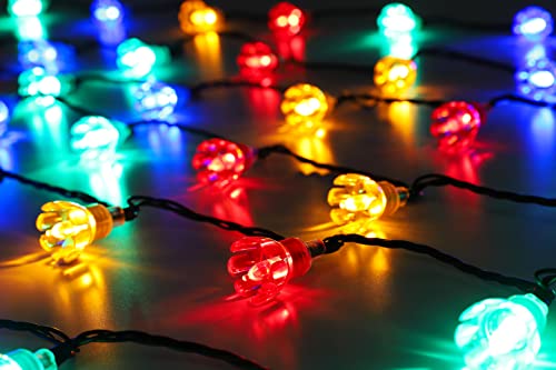 Christmas Concepts® 100 10m/33ft Retro Multi Coloured LED Petal Lights with 8 Function Controller – Indoor/Outdoor – Energy Efficient A++ - Christmas Lights